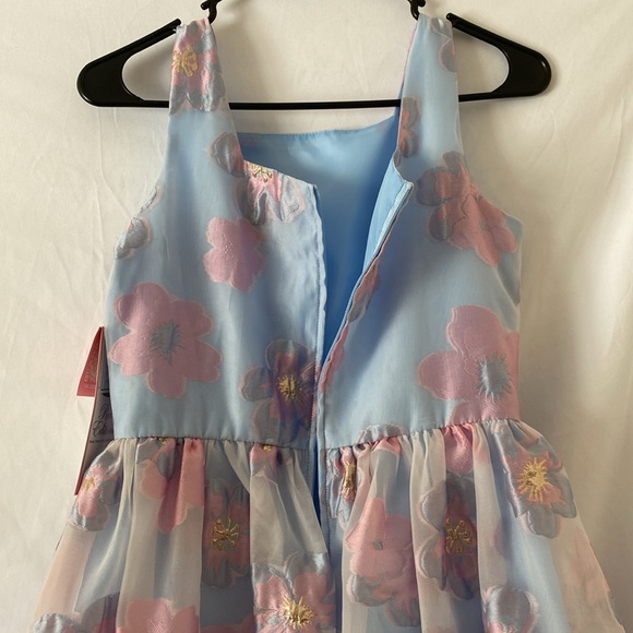 Floral Blue and Pink Dress - Picture 5 of 8